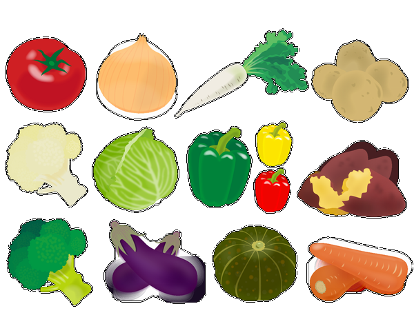 野菜 いろいろ